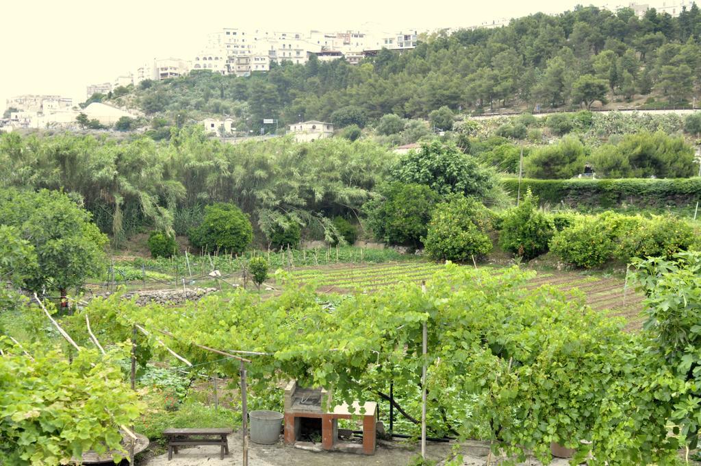 Casa Vacanze Villa Francesca Peschici Esterno foto